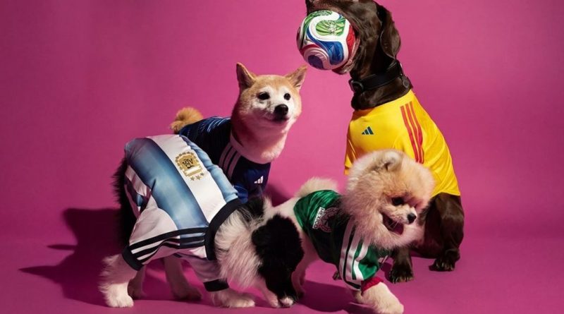 Adidas launches FIFA World Cup 2026 pet jersey collection