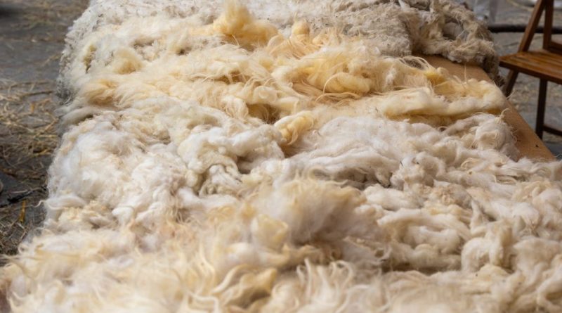 Australia supports Vietnam’s $57 mn wool processing expansion