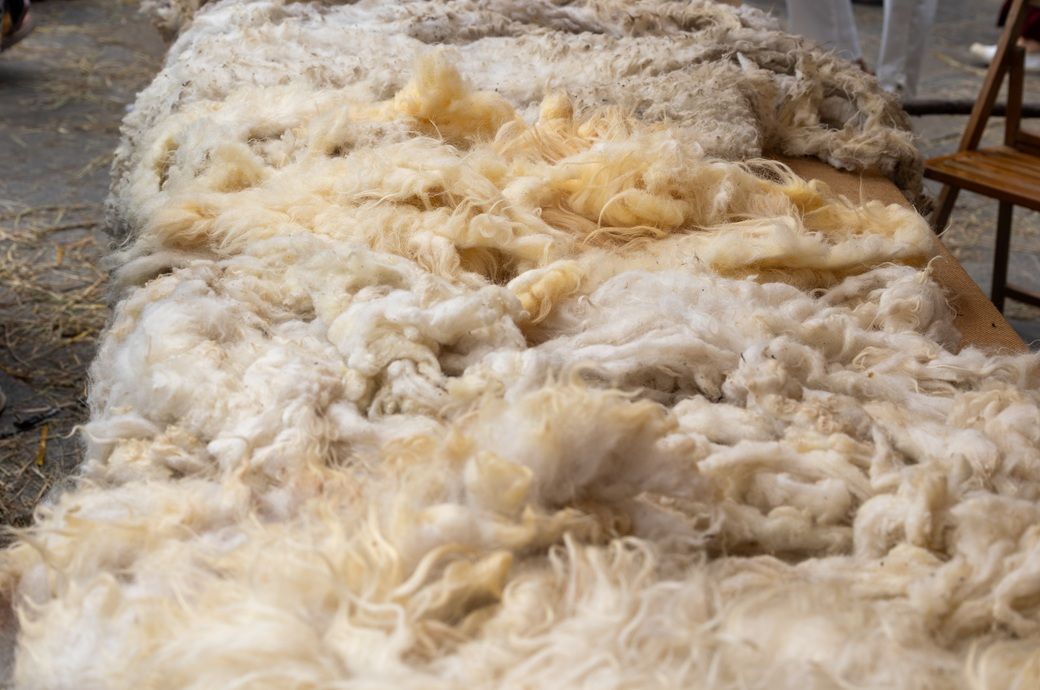 Australia supports Vietnam’s $57 mn wool processing expansion