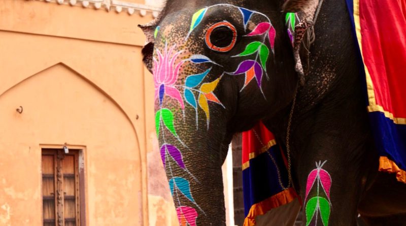 Love Beyond Borders: Gurkirat & Jassu’s Amber Fort Engagement