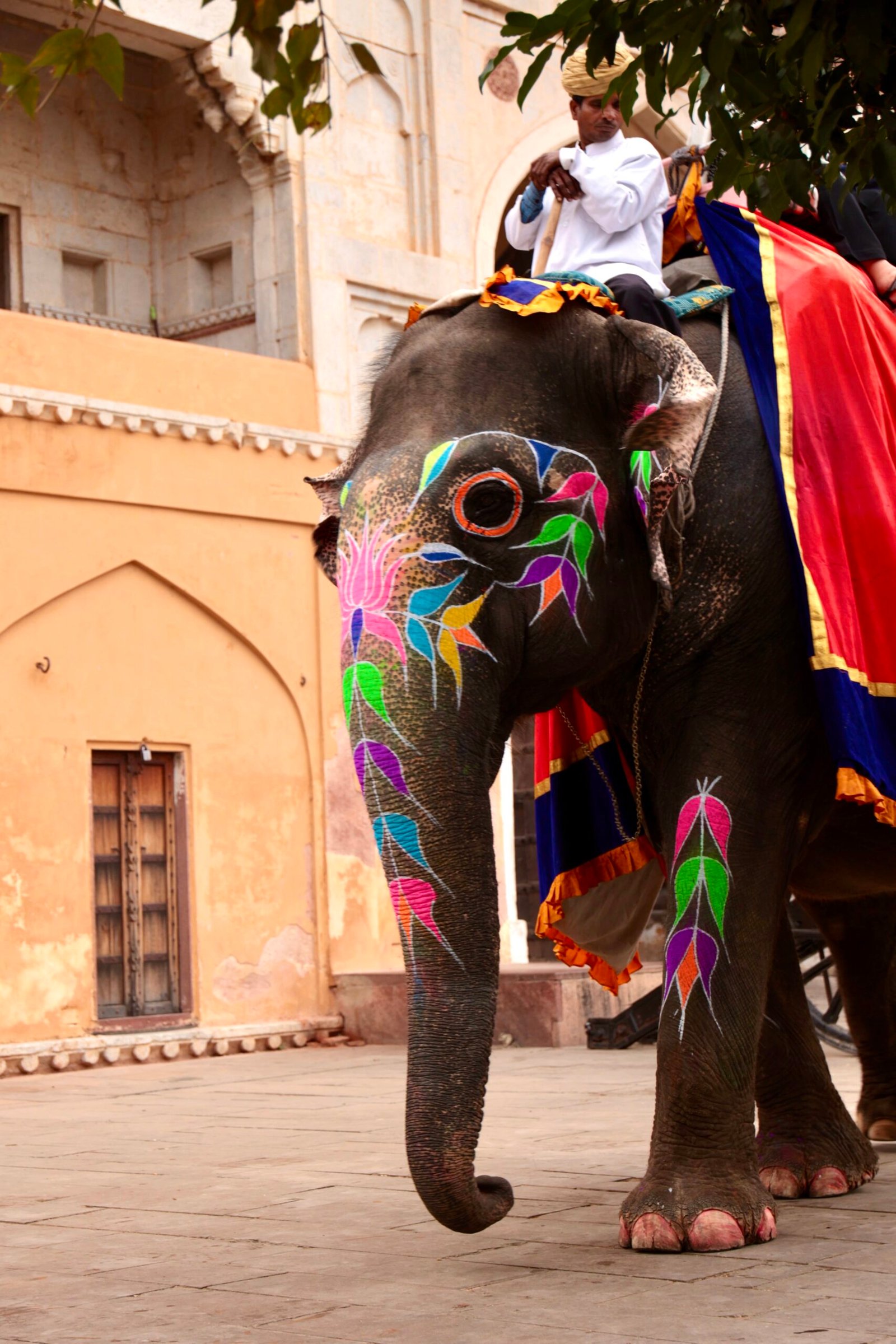Love Beyond Borders: Gurkirat & Jassu’s Amber Fort Engagement