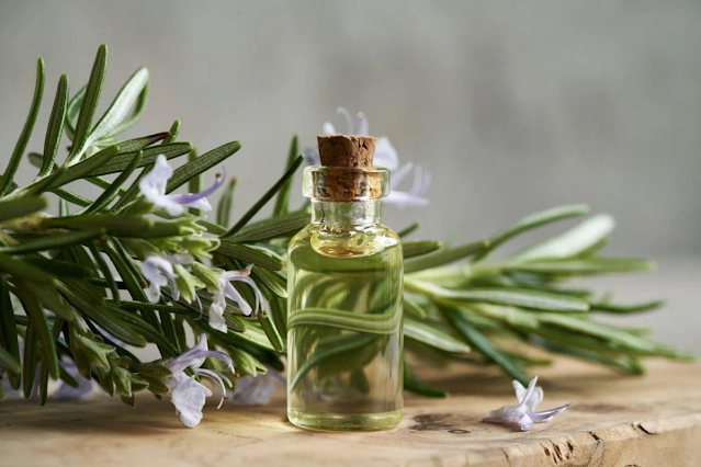 My Personal Review of VedaOils Rosemary Essential Oil: Benefits & Results