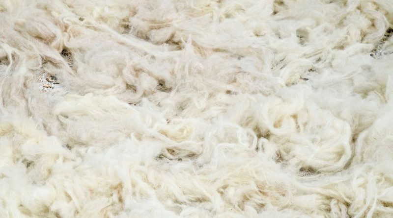 Australian wool prices edge higher, quality gap weighs on market