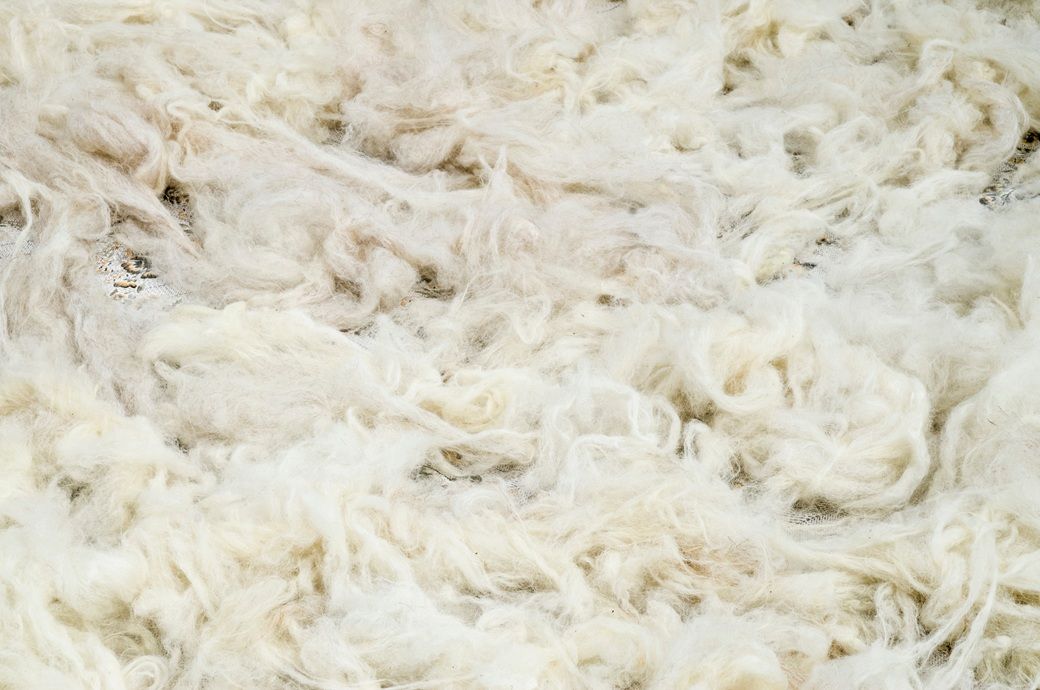 Australian wool prices edge higher, quality gap weighs on market
