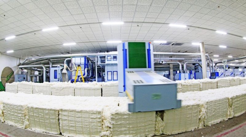 Cotton productivity mission to strengthen India’s FTA exports: CITI