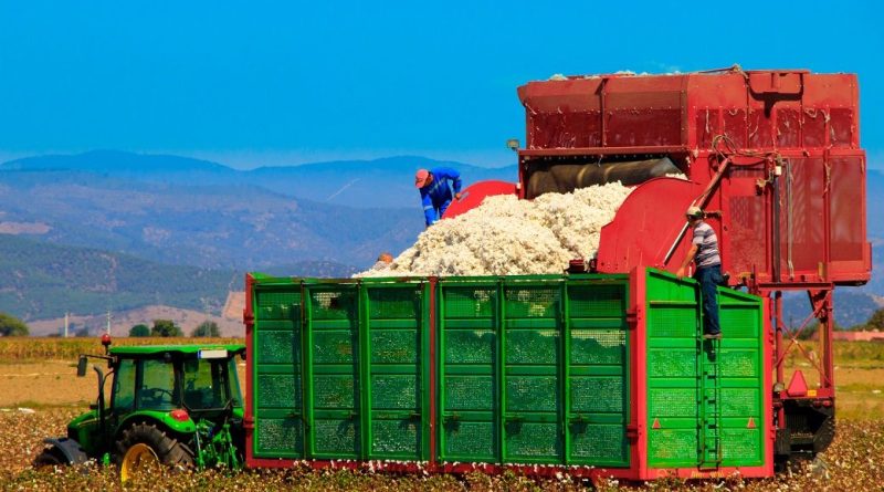 ICE cotton witnesses sharp rise on weaker dollar, strong exports
