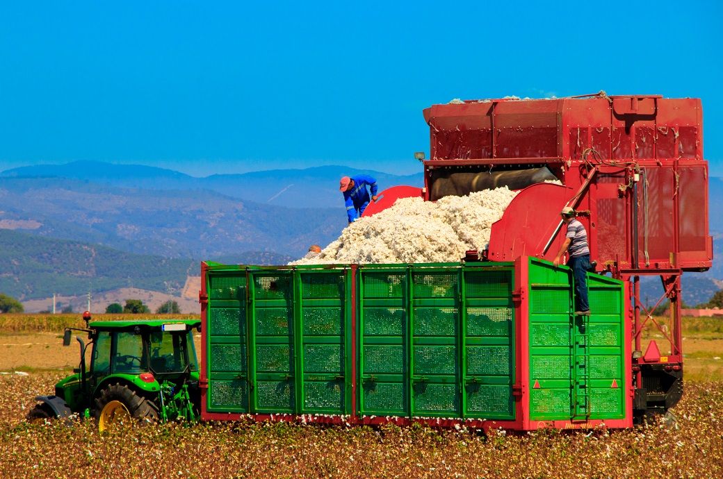 ICE cotton witnesses sharp rise on weaker dollar, strong exports